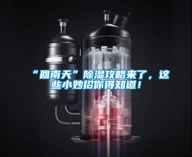 “回南天”除濕攻略來了，這些小妙招你得知道！