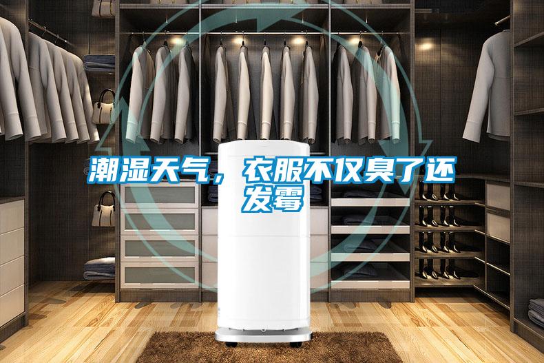 潮濕天氣，衣服不僅臭了還發霉