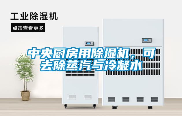 中央廚房用除濕機，可去除蒸汽與冷凝水