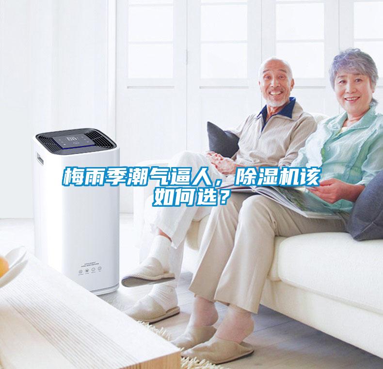 梅雨季潮氣逼人，除濕機該如何選？
