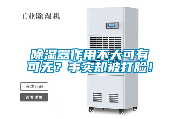 除濕器作用不大可有可無？事實卻被打臉！