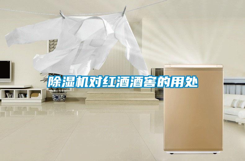 除濕機對紅酒酒窖的用處