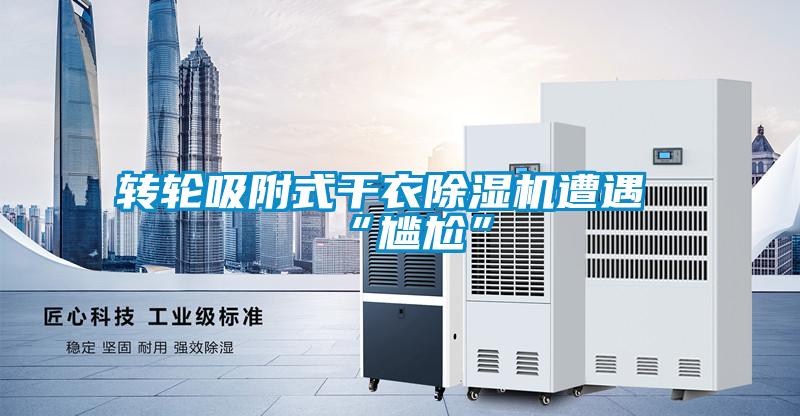 轉輪吸附式干衣除濕機遭遇“尷尬”