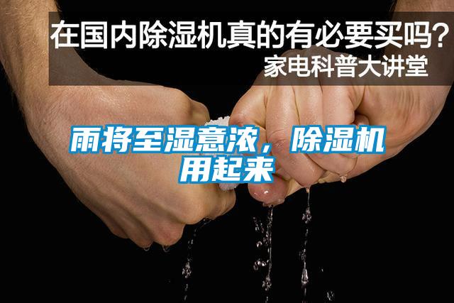 雨將至濕意濃，除濕機用起來