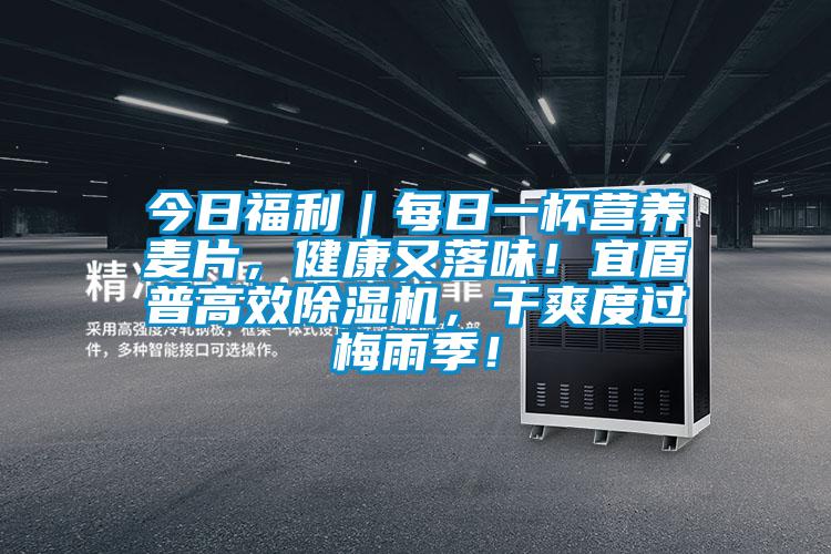 今日福利｜每日一杯營養麥片，健康又落味！宜盾普高效除濕機，干爽度過梅雨季！