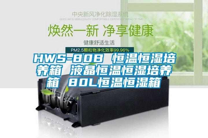 HWS-80B 恒溫恒濕培養箱 液晶恒溫恒濕培養箱 80L恒溫恒濕箱