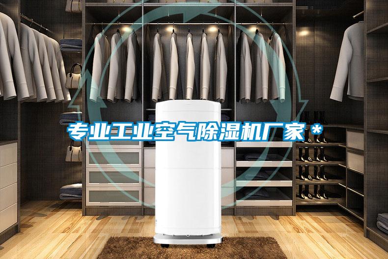 專業工業空氣除濕機廠家＊