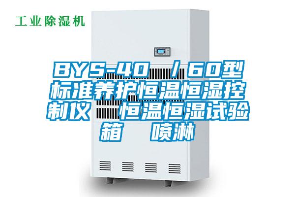 BYS-40 ／60型標準養護恒溫恒濕控制儀  恒溫恒濕試驗箱  噴淋