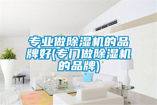 專業做除濕機的品牌好(專門做除濕機的品牌)