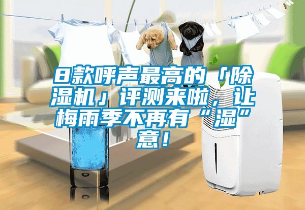 8款呼聲最高的「除濕機」評測來啦，讓梅雨季不再有“濕”意！