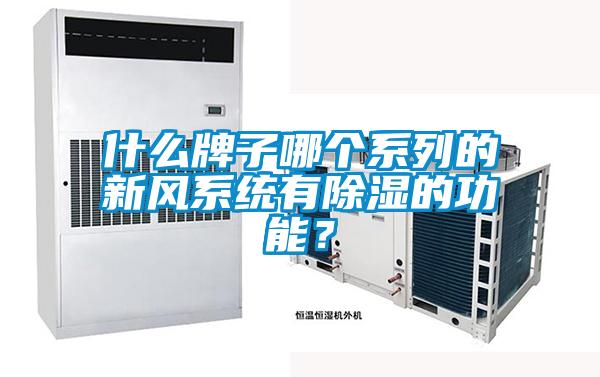 什么牌子哪個系列的新風系統有除濕的功能？