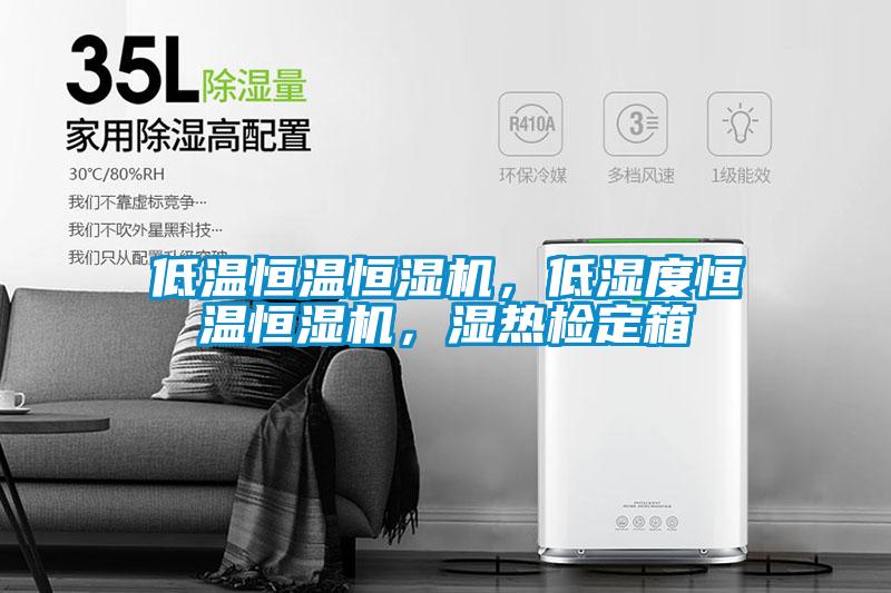 低溫恒溫恒濕機，低濕度恒溫恒濕機，濕熱檢定箱