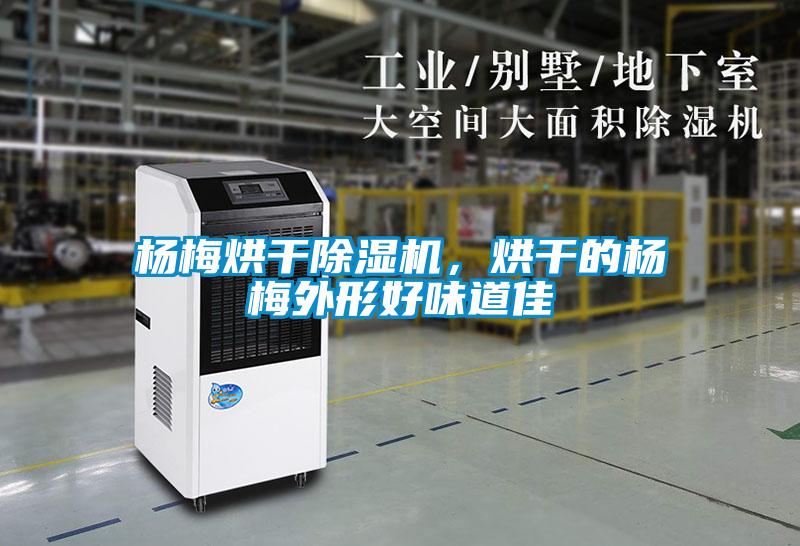 楊梅烘干除濕機，烘干的楊梅外形好味道佳