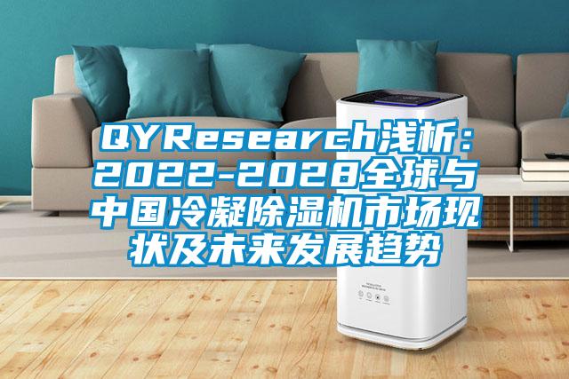 QYResearch淺析：2022-2028全球與中國冷凝除濕機市場現狀及未來發展趨勢