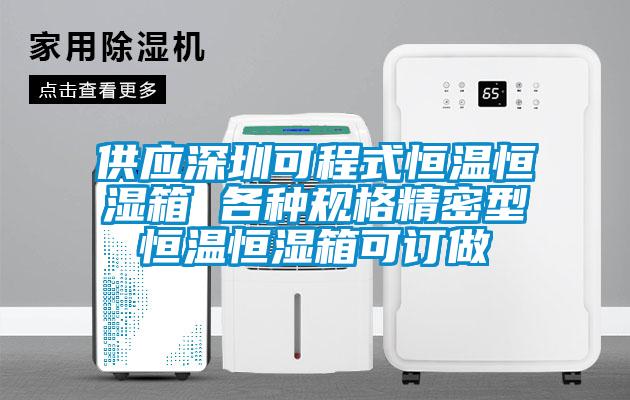 供應深圳可程式恒溫恒濕箱 各種規格精密型恒溫恒濕箱可訂做