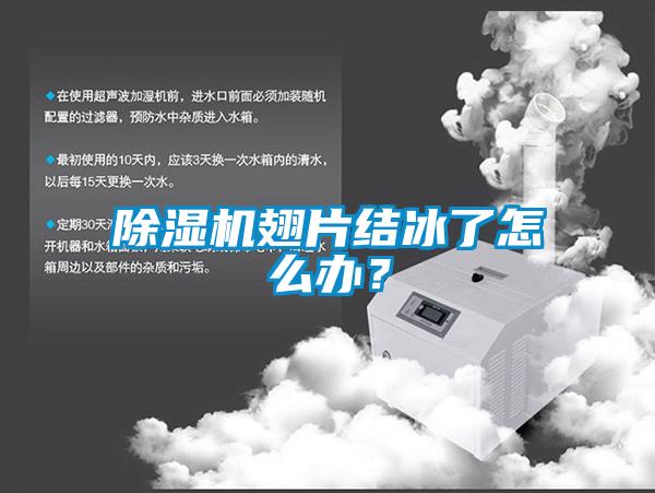 除濕機翅片結冰了怎么辦？