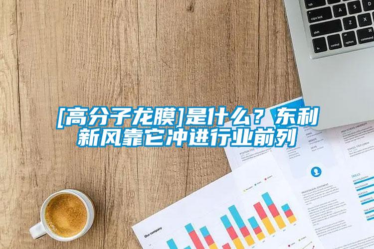 [高分子龍膜]是什么？東利新風靠它沖進行業前列