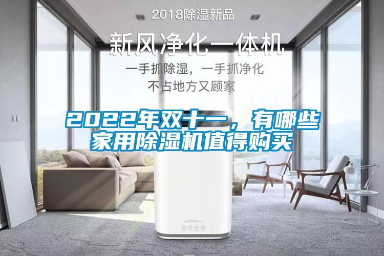 2022年雙十一，有哪些家用除濕機值得購買