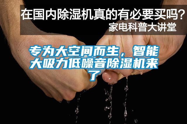 專為大空間而生，智能大吸力低噪音除濕機來了