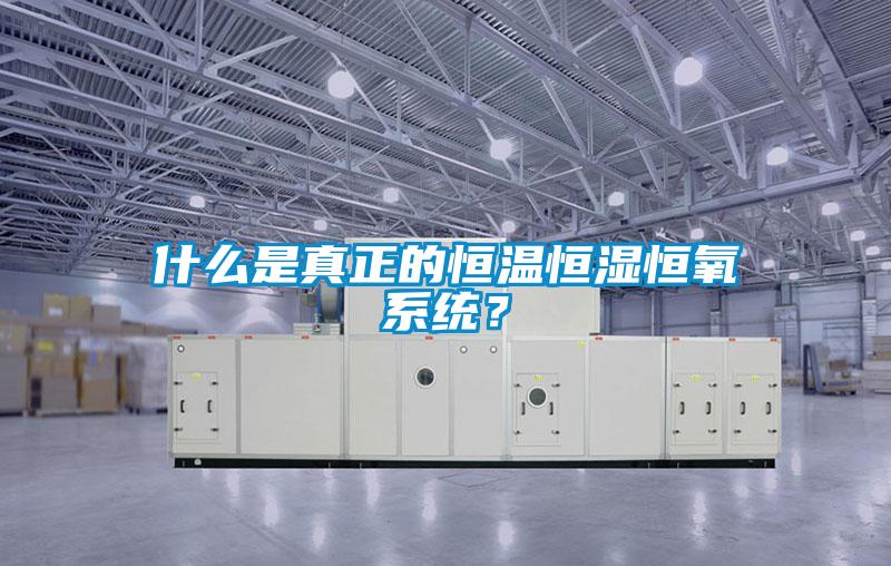 什么是真正的恒溫恒濕恒氧系統？