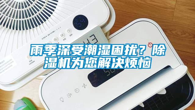 雨季深受潮濕困擾？除濕機為您解決煩惱