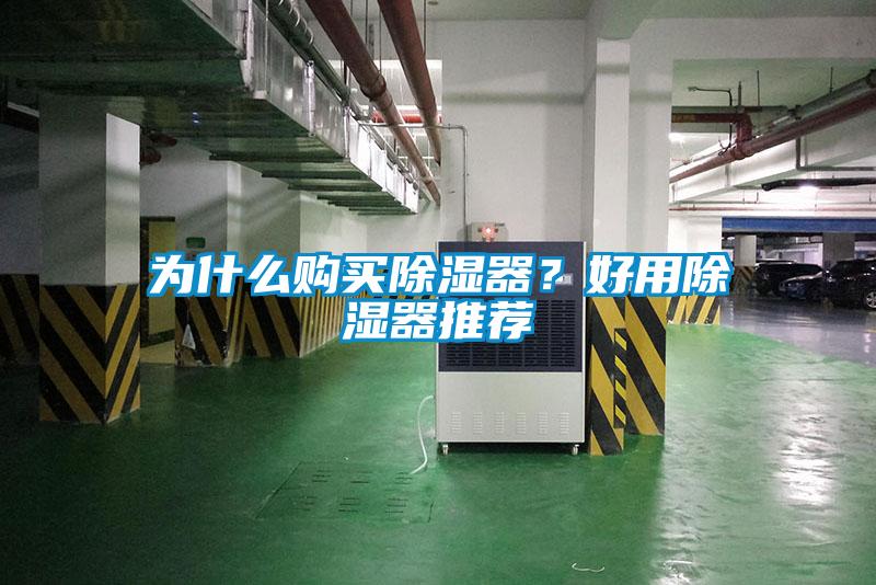 為什么購買除濕器？好用除濕器推薦