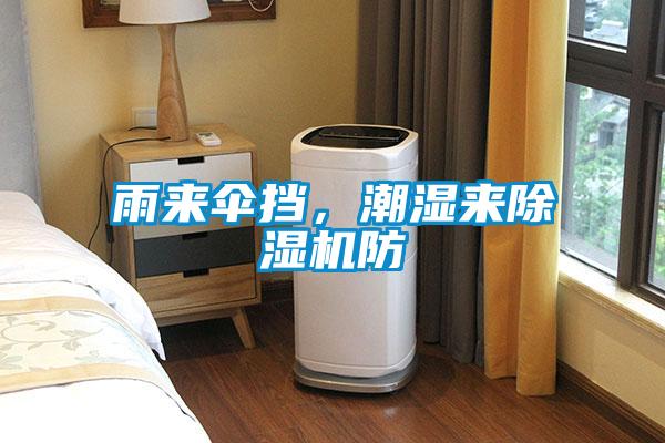 雨來傘擋，潮濕來除濕機防