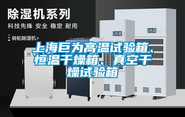 上海巨為高溫試驗箱、恒溫干燥箱、真空干燥試驗箱