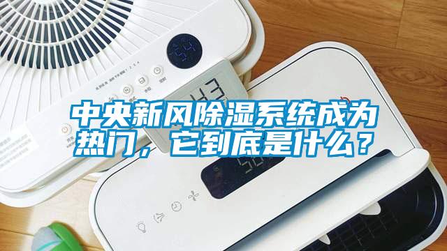 中央新風除濕系統成為熱門，它到底是什么？