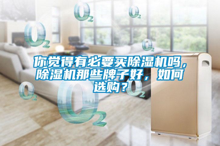 你覺得有必要買除濕機嗎，除濕機那些牌子好，如何選購？