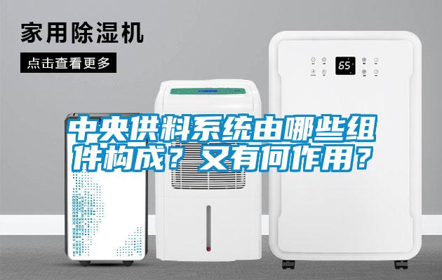 中央供料系統由哪些組件構成？又有何作用？