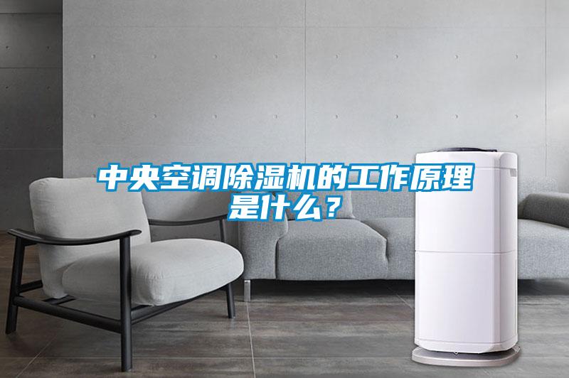 中央空調除濕機的工作原理是什么？