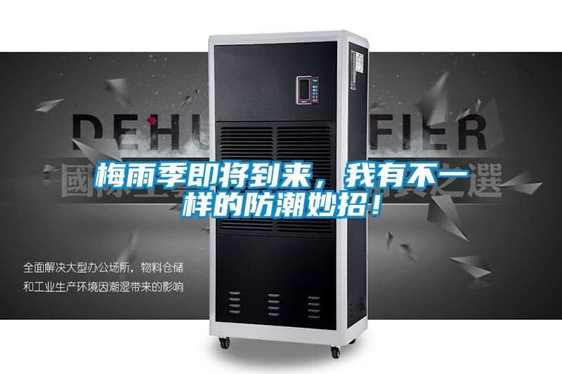 梅雨季即將到來，我有不一樣的防潮妙招！