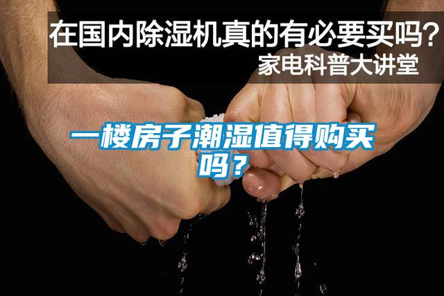 一樓房子潮濕值得購買嗎？