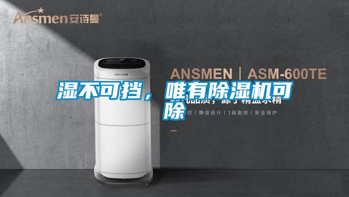 濕不可擋，唯有除濕機可除