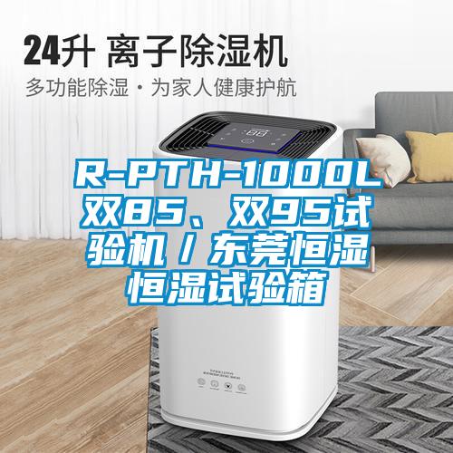 R-PTH-1000L雙85、雙95試驗機／東莞恒濕恒濕試驗箱