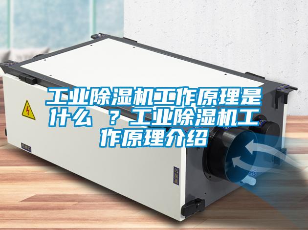 工業除濕機工作原理是什么 ？工業除濕機工作原理介紹