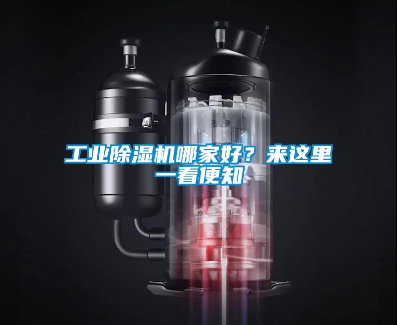 工業除濕機哪家好？來這里一看便知
