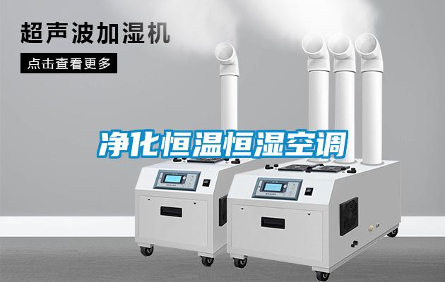 凈化恒溫恒濕空調
