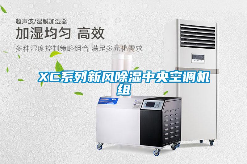 XC系列新風除濕中央空調機組