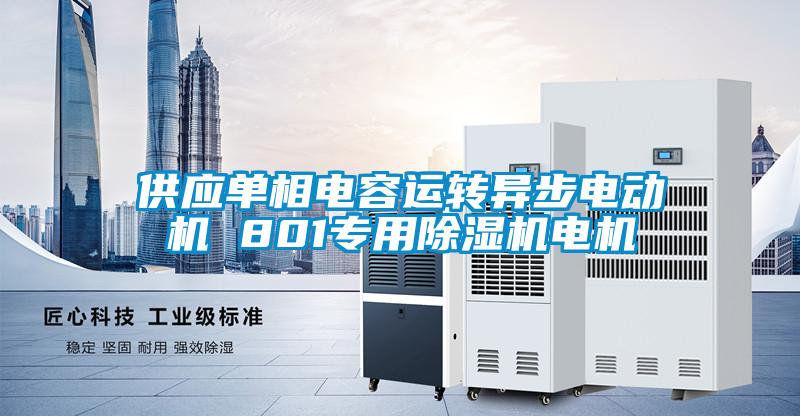 供應單相電容運轉異步電動機 801專用除濕機電機