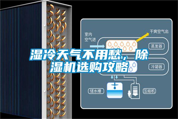 濕冷天氣不用愁，除濕機選購攻略