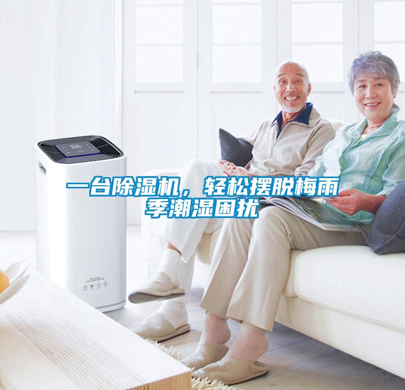 一臺除濕機，輕松擺脫梅雨季潮濕困擾