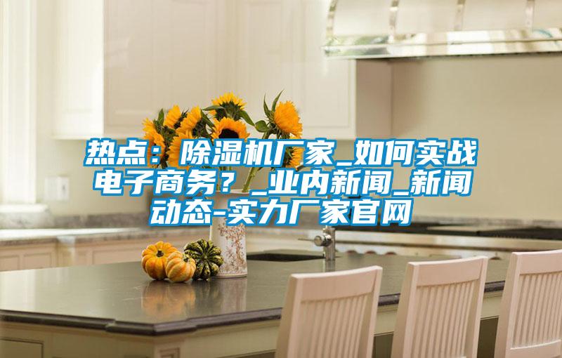熱點：除濕機廠家_如何實戰電子商務？_業內新聞_新聞動態-實力廠家官網