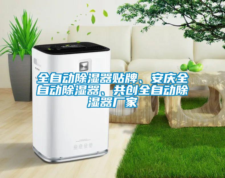 全自動除濕器貼牌、安慶全自動除濕器、共創全自動除濕器廠家