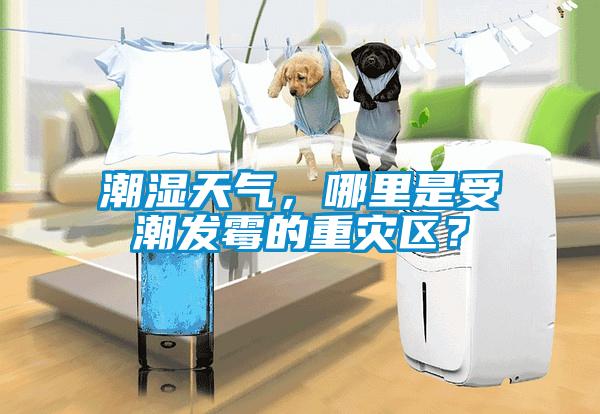潮濕天氣，哪里是受潮發霉的重災區？