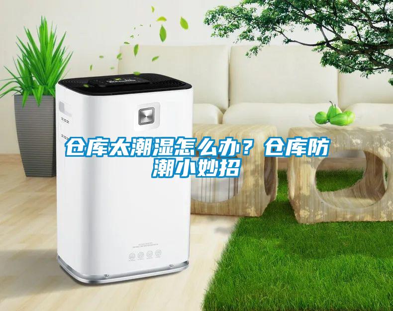 倉庫太潮濕怎么辦？倉庫防潮小妙招