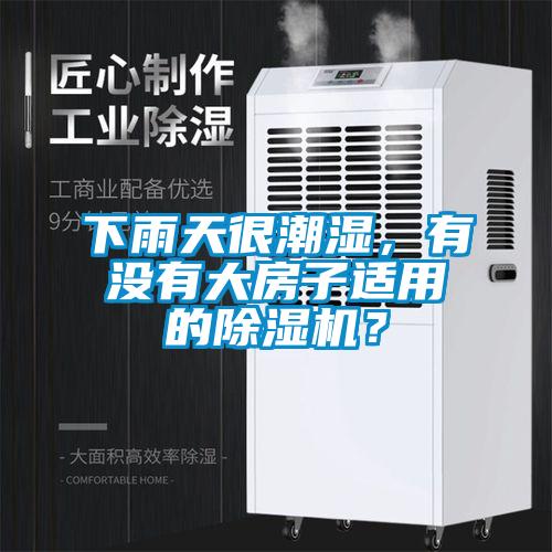下雨天很潮濕，有沒有大房子適用的除濕機？