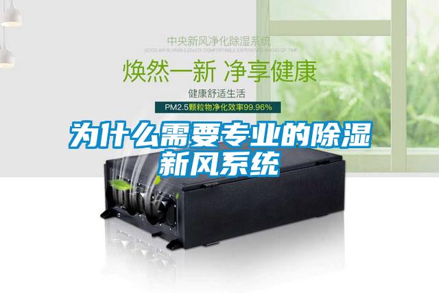 為什么需要專業的除濕新風系統