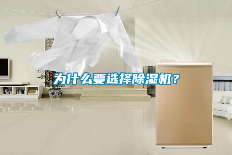 為什么要選擇除濕機？